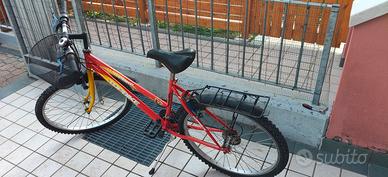 BICICLETTA DONNA/RAGAZZA_A.F.F.A.R.E