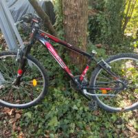 MTB da ragazzo