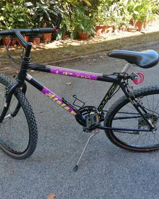 Mountain bike da donna o ragazzo