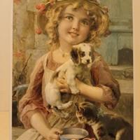 Scatola da collezione