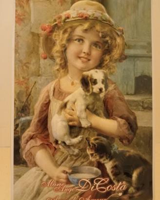 Scatola da collezione