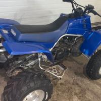 Yamaha Altro modello - 2001