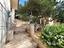 Immagine 25