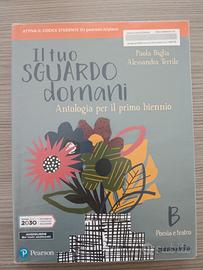 Il tuo sguardo domani antologia