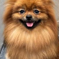 Maya diventerà Mamma