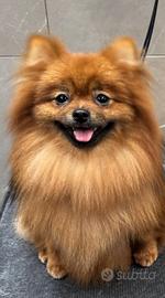 Maya diventerà Mamma