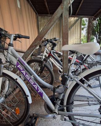 Bici donna