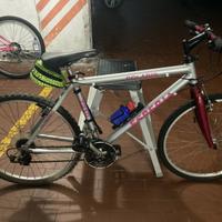 bicicletta ESPERIA MTB alluminio