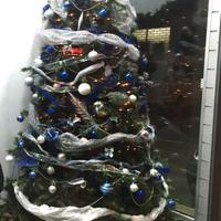 ALBERO NATALE