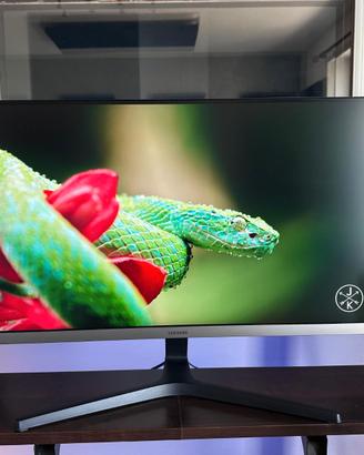 Samsung Monitor HRM UR55 28"