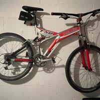Mountain Bike Specialized