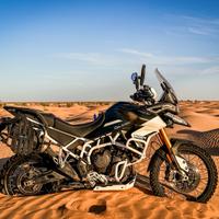 Triumph Tiger 900 rally pro