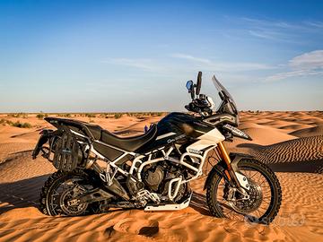 Triumph Tiger 900 rally pro