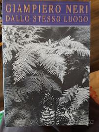 libro Giampiero Neri - Dallo stesso luogo