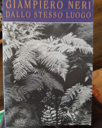 libro Giampiero Neri - Dallo stesso luogo