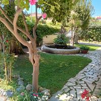 GIUGNO---16-31 LUGLIO in CENTRO 50 mt dal MARE