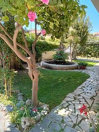 GIUGNO---16-31 LUGLIO in CENTRO 50 mt dal MARE