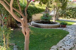 GIUGNO---16-31 LUGLIO in CENTRO 50 mt dal MARE