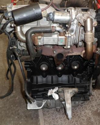 PBL365 Motore Renault Scenic 1.9 F9Q812 [03/09]