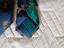 Immagine 5