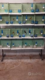 batterie da gabbia per mostra