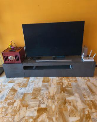 mobile TV 