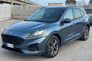 Ford Kuga 2022 1.5 EcoBlue 120 CV aut. 2WD ST-Line