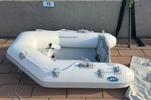 Tender 1.60 m e motore honda 2.3 cv