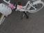 Immagine 2