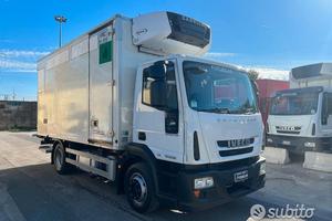 Iveco eurocargo 120E22 frigo 5.20 e sponda 2010