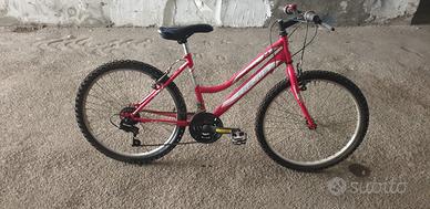 bicicletta frejus donna