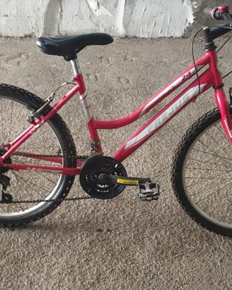 bicicletta frejus donna