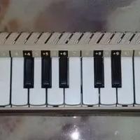 Diamonica Bontempi. Consegna di persona, Bologna