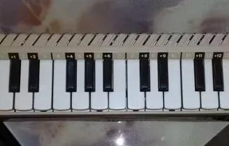 Diamonica Bontempi. Consegna di persona, Bologna