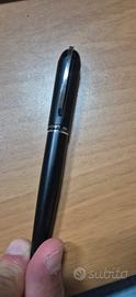 Penna cerruti 1881