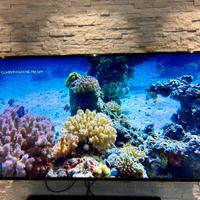 TV LG UHD Mod. 70UN70