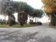 Immagine 15