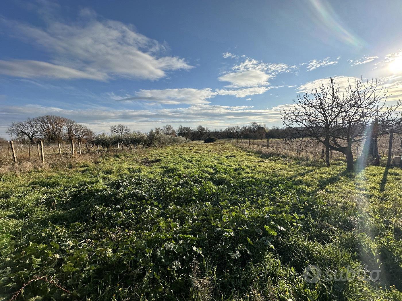 Terreno Agricolo Nepi [Cod. rif 3327488VCG] - Vista 3