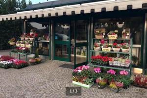 Chiosco/negozio vicino al cimitero