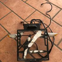Barracuda porta targa
