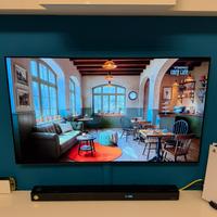 TV LG OLED 55 POLLICI