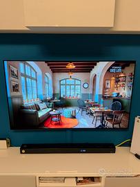 TV LG OLED 55 POLLICI