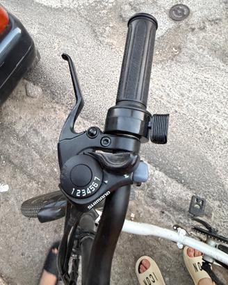 Bici sambike