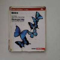 Libri testo per liceo scientifico