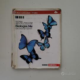 Libri testo per liceo scientifico