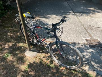 Bicicletta Mountain Bike