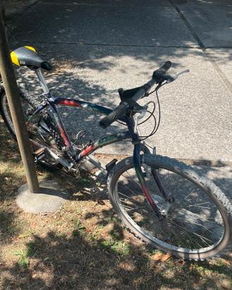 Bicicletta Mountain Bike