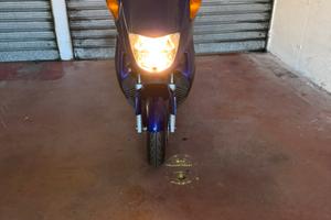 Honda Foresigt 250