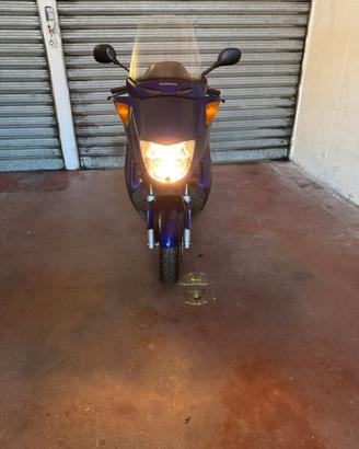 Honda Foresigt 250