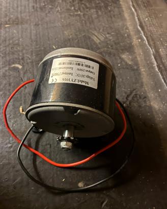 Motorino elettrico